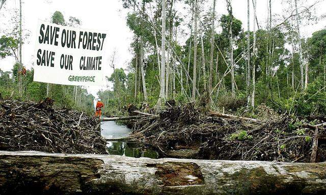 INDONESIA FOREST GREENPEACE CAMPAIGN