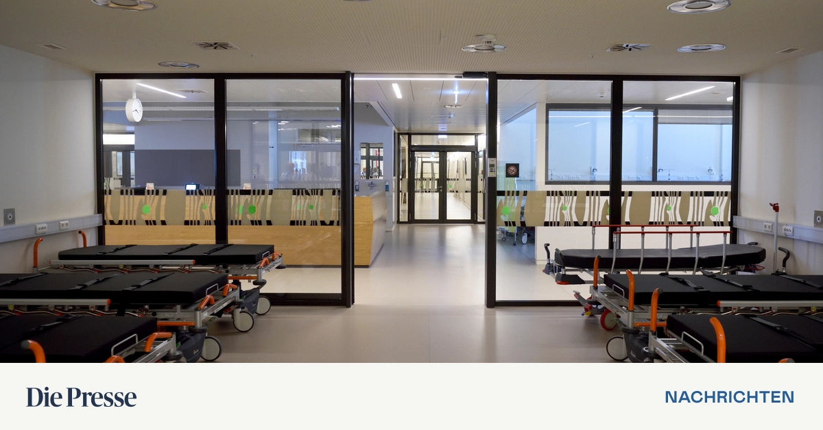 Bund-L-nder-Gemeinden-Regierung-will-neues-Gesundheitssystem-bis-Juni-fixieren