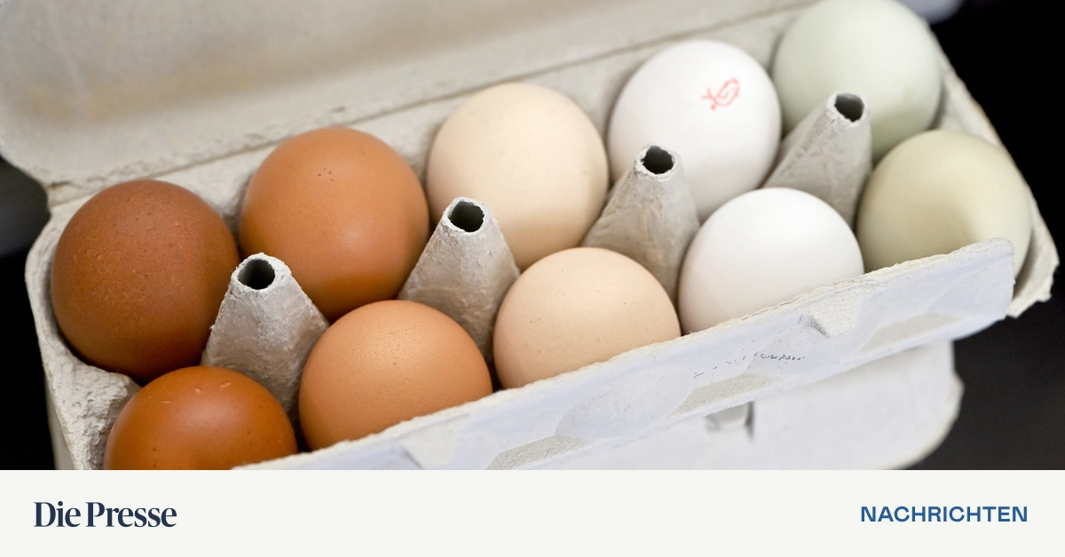 Physiker-enth-llen-Geheimnis-hinter-dem-perfekten-Ei