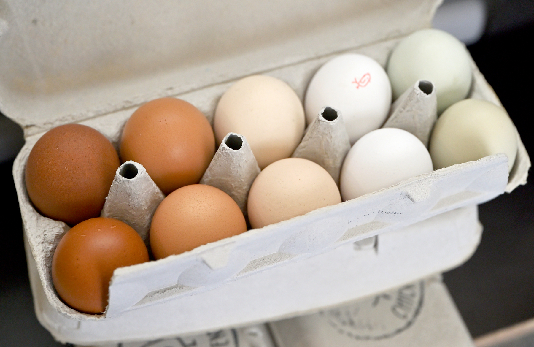 Physiker enthüllen Geheimnis hinter dem perfekten Ei