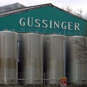 FEATURE - GUESSINGER INSOLVENZ