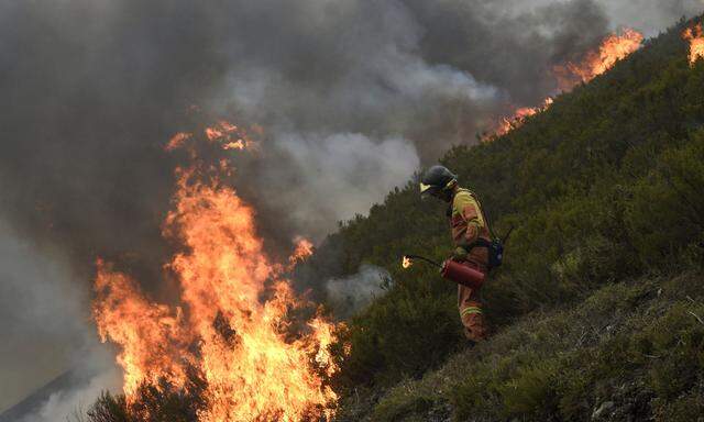 Kampf gegen Waldbrände im nordspanischen Asturien im Oktober 2017.