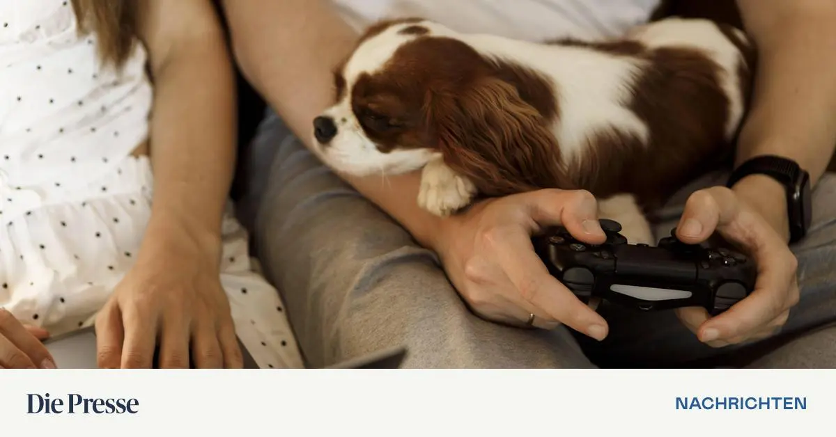 Streicheln-von-Tieren-steigert-das-Wohlbefinden