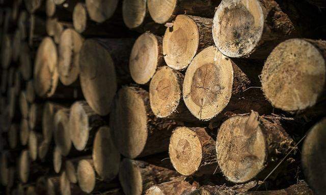 Holz liegt gestapelt in einem Wald bei Klitten, 10.09.2018. Klitten Deutschland *** Wood is stacked in a forest near Kl