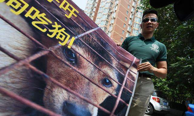 CHINA-FESTIVAL-PETITION-DOG