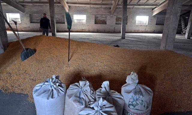 Der Konlikt um ukrainisches Getreide beschäftigt die EU-Länder.