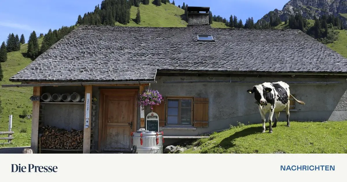 Gemeinde-Schulden-in-Vorarlberg-dreimal-h-her-als-in-Salzburg
