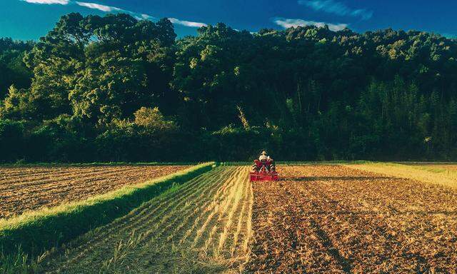 Rear View Of Man In Tractor On Agricultural Field Against Trees