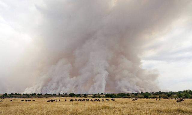 In den Savannen vieler afikanischer Länder (hier ein Bild aus Kenia aus dem Jahr 2014) sind Brände in regelmäßigen Abständen Teil des Lebenszyklus' der Natur - wenn auch nicht ungefährlich für die Menschen, die das Land nutzen und bewohnen.