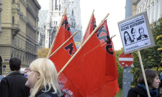 Mit roter Flagge gegen Kürzungen bei Familienbeihilfe und Bildungsbudget. Studentendemo Ende Oktober 2010 in Wien.