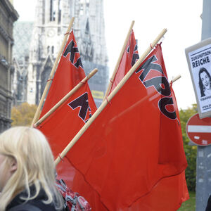 Mit roter Flagge gegen Kürzungen bei Familienbeihilfe und Bildungsbudget. Studentendemo Ende Oktober 2010 in Wien.