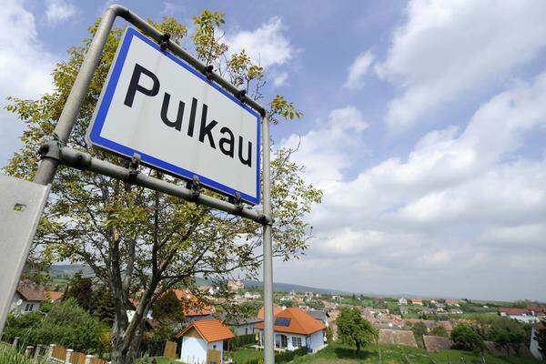 Am 27. Juni 2006 ist Julia Kührer zuletzt in ihrem Heimatort Pulkau gesehen worden.