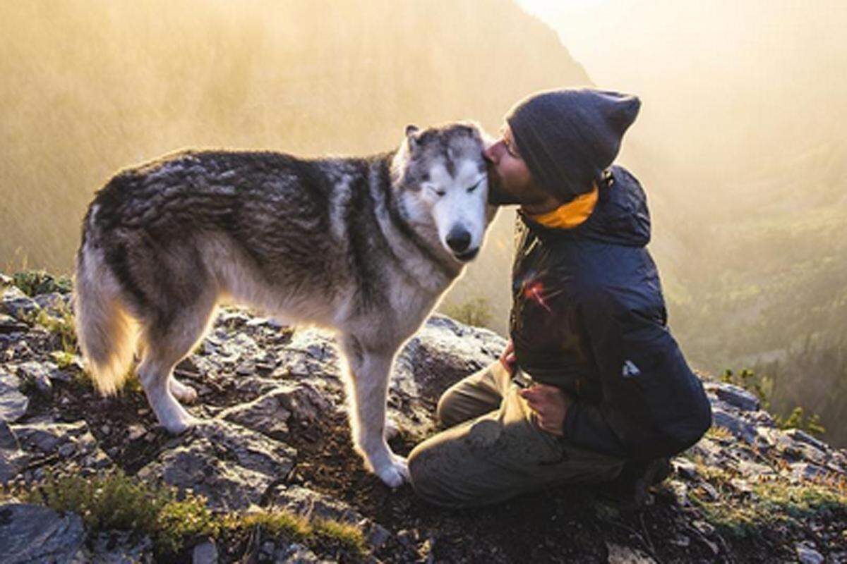 Der Kalifornier Kelly Lund reist mit seinem treuen Wolfshund Loki um die Welt und macht dabei einzigartige Aufnahmen. 1,6 Millionen nehmen auf Instagram am Abenteuer des Duos Teil.