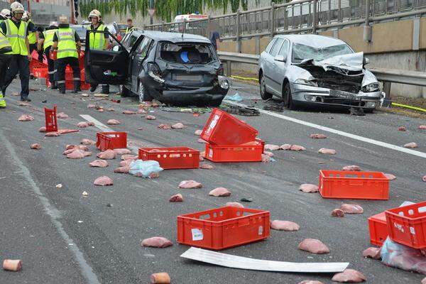 Das Fleisch musste händisch von der Fahrbahn entfernt werden.