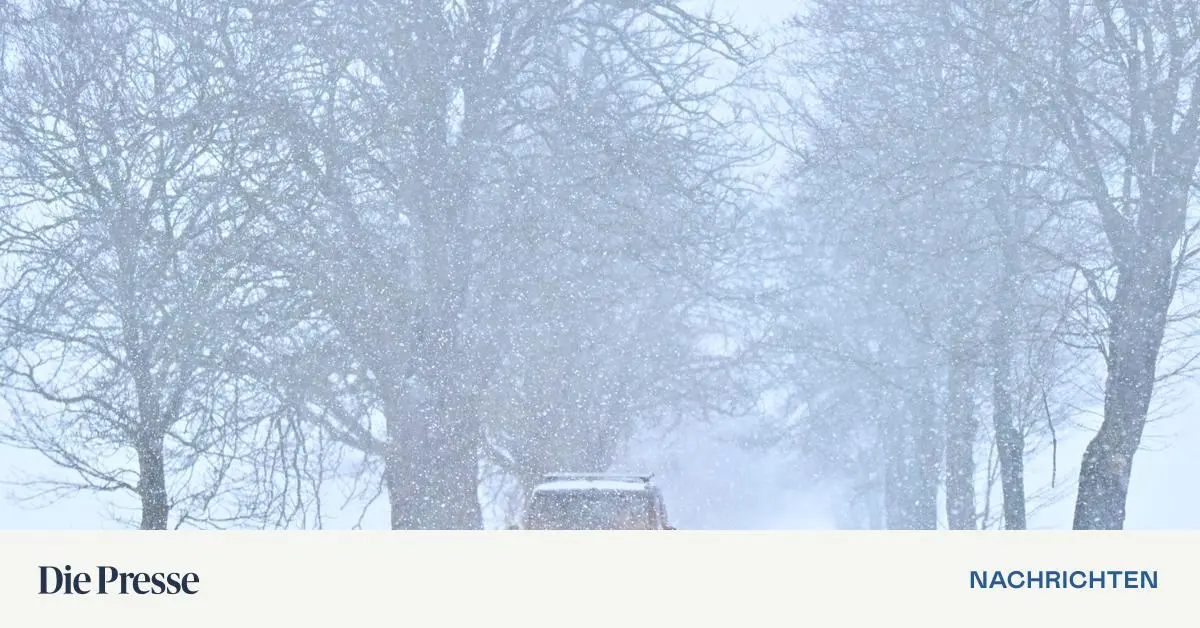 klirrende-k-lte-minus-29-grad-in-liebenau-gugu