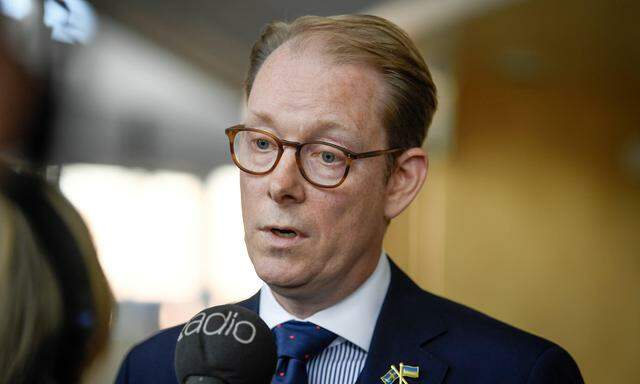 Schwedens Außenminister Tobias Billström. 