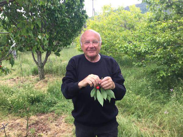 Weiter geht's zum Obstbaumphilosophen Robert Kran. Der Elsässer pflanzte im Hinterland zwischen Calvi und der Ile Rousse seinen Jardin Botanique Fruitier d'Avapassa.