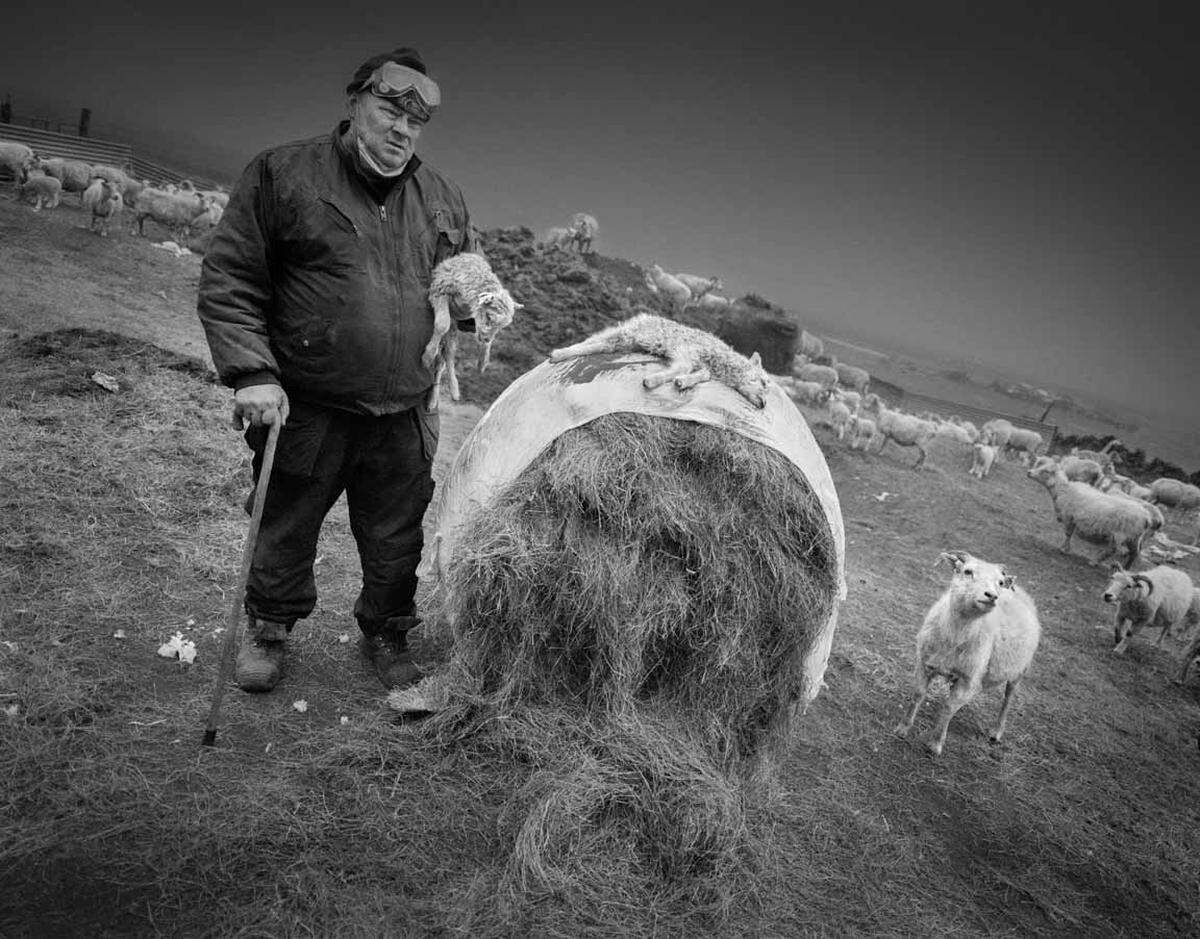 Ragnar Axelsson, der auch unter dem Namen Rax bekannt ist, zählt zu den populärsten Fotografen Islands. Seine Fotografien erschienen bereits im "Time Magezine", im "Stern" oder in der "Geo". Bauer Helgi neben seinen toten Lämmchen, die währenddes Ausbruch des Vulkans Grímsvötn ums Leben kamen. Hof Anrarstapi im Gebiet Meðalland, Süd-Island.