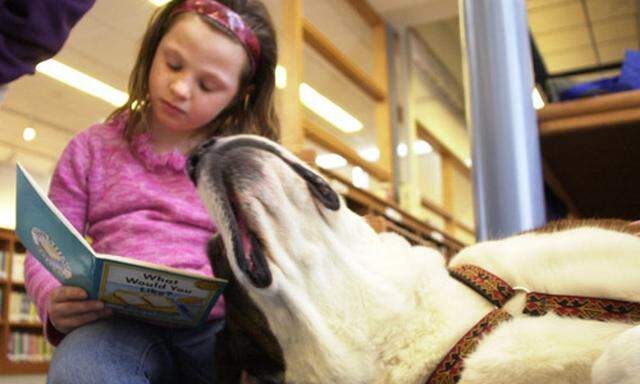 Hundegestuetze Paedagogik Leitfaden fuer