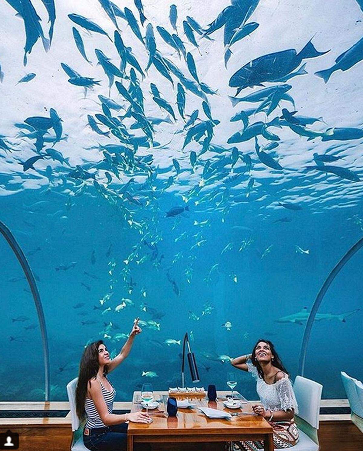 Das Resort auf den Malediven eröffnete bereits 2005 das erste Unterwasserrestaurant. Bald wird eine Unterwasservilla eröffnet, deren Bau 15 Millionen Dollar kostete.