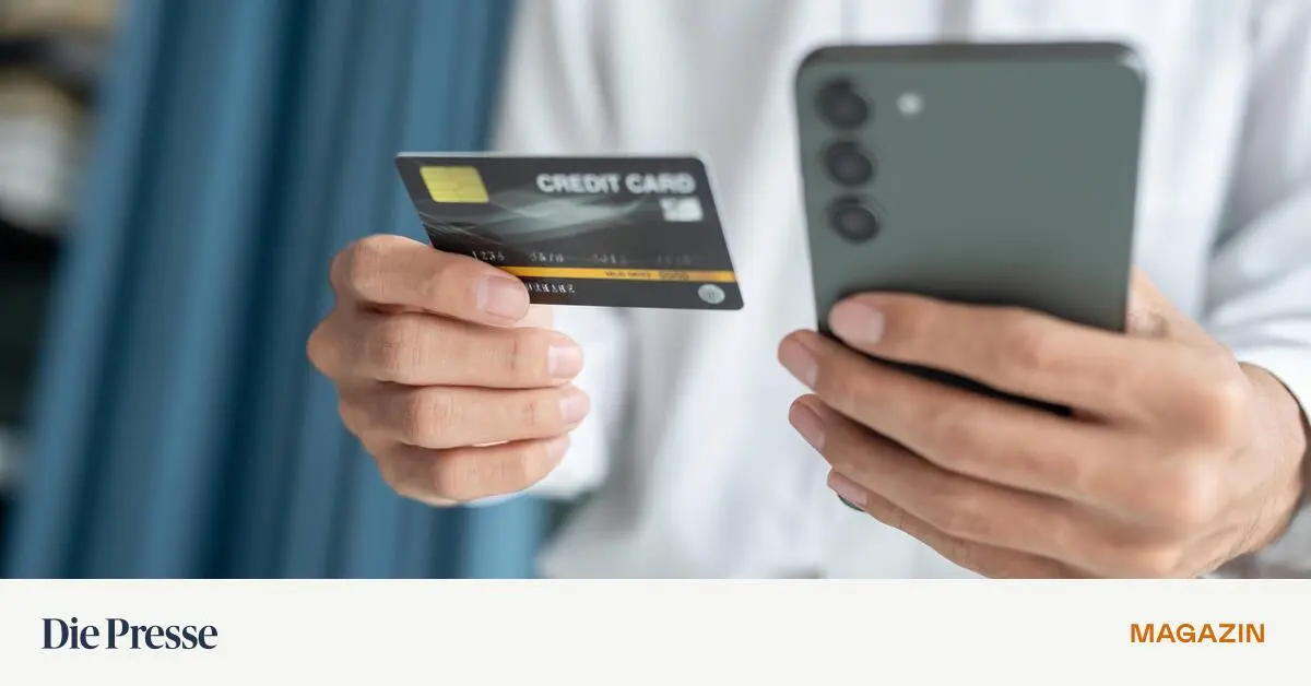 Der-digitale-Eink-ufer-steht-bereit-das-Bezahlen-ist-noch-nicht-geregelt-premium-