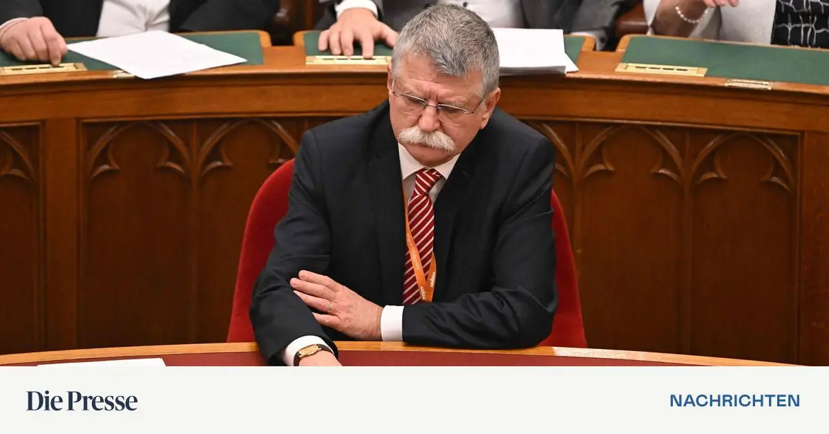 Die-EU-eine-Diktatur-Ungarns-Parlamentspr-sident-vergleicht-Von-der-Leyen-mit-Hitler