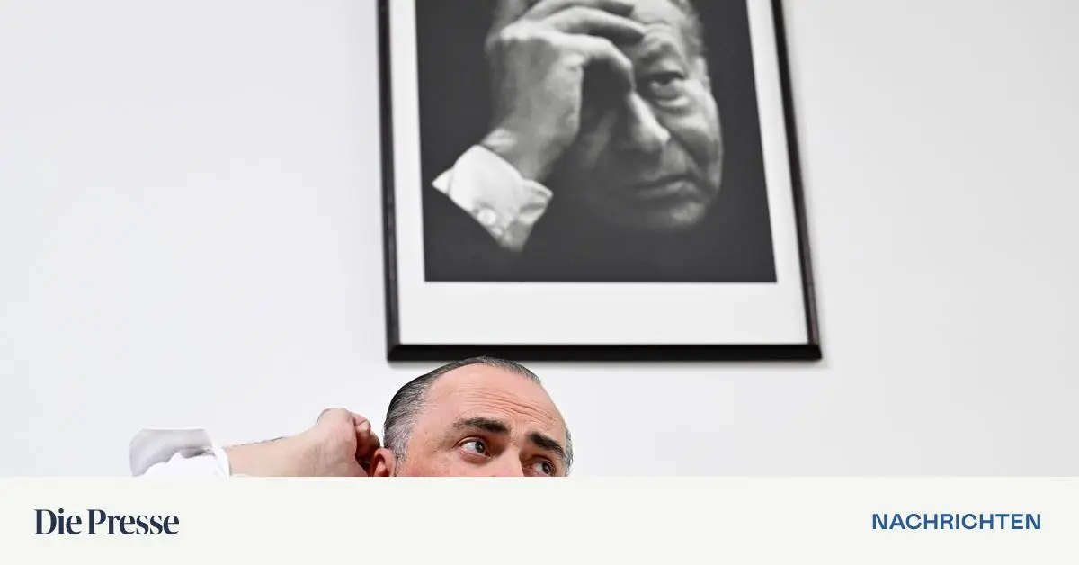 Elektrizit-tswirtschaftsgesetz-Doskozil-wirft-Regierung-verpasste-Chance-vor