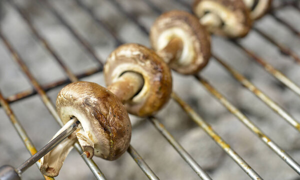 Grillen: Kohle, Gas, Strom oder vegan?