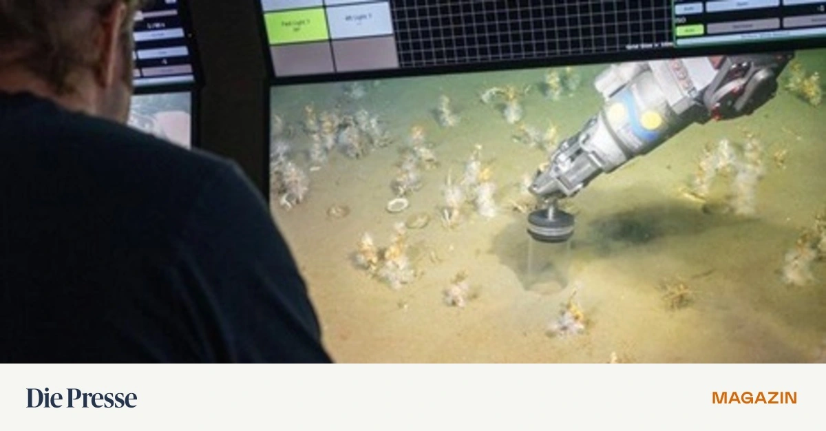 Woher-kommen-wir-Asgards-und-der-Ursprung-komplexen-Lebens-premium-