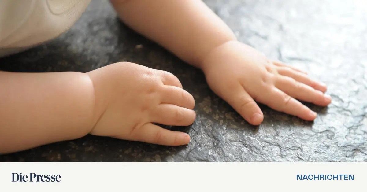 Totes-Baby-im-Burgenland-Alle-vier-Verd-chtige-in-U-Haft