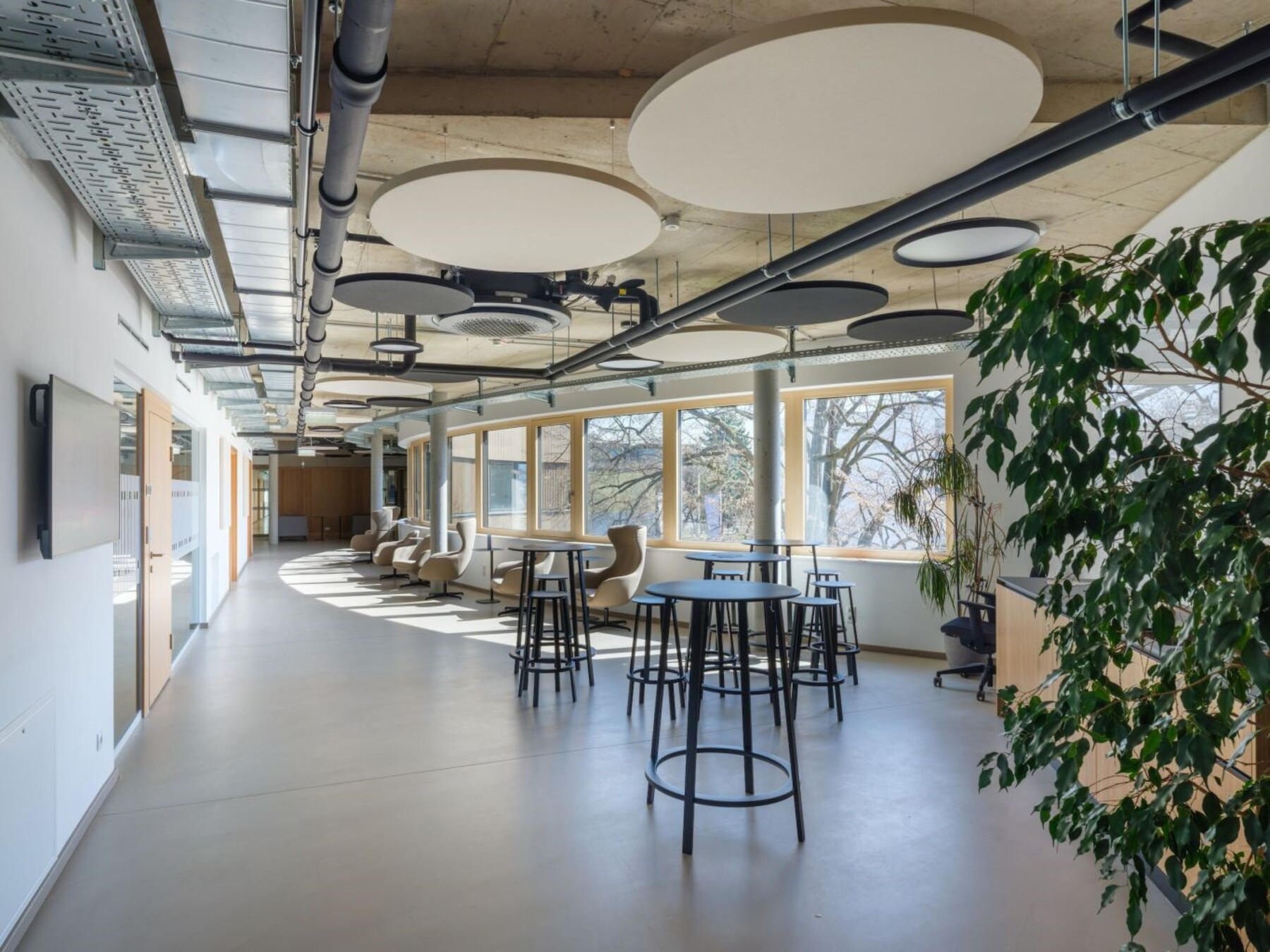 Architecture and Sustainability: The Evolving Campuses of TU Graz