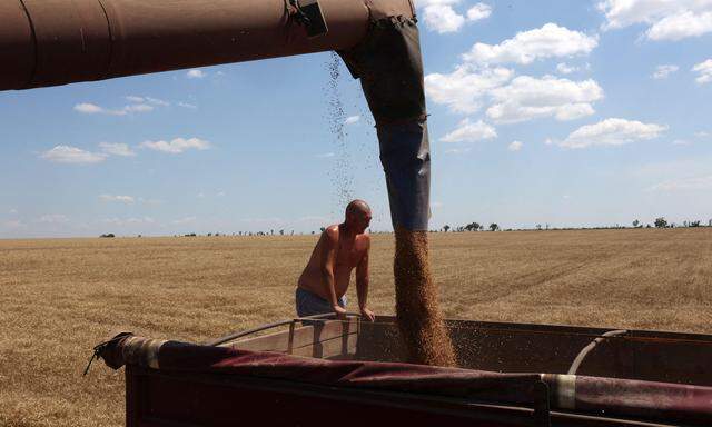 Ein Bauer inspiziert seine Weizen-Ernte auf einem Feld in der ukrainischen Region Mykolaijw.