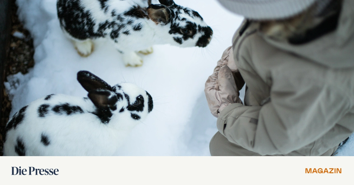 Mit-Kindern-im-Luxushotel-Vom-Goldballbad-zum-Hasenstall-premium-