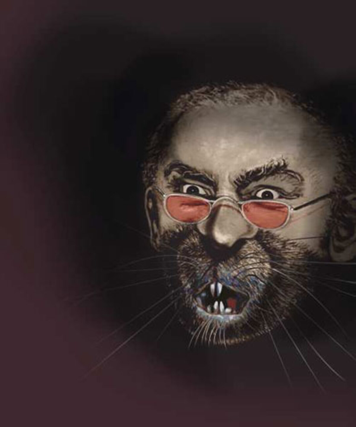 Heil - vom Koma zum Amok