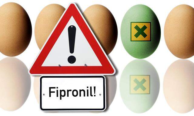 Huehnereier und Warnschild Symbolfoto fuer Fipronil Belastung bei Eiern