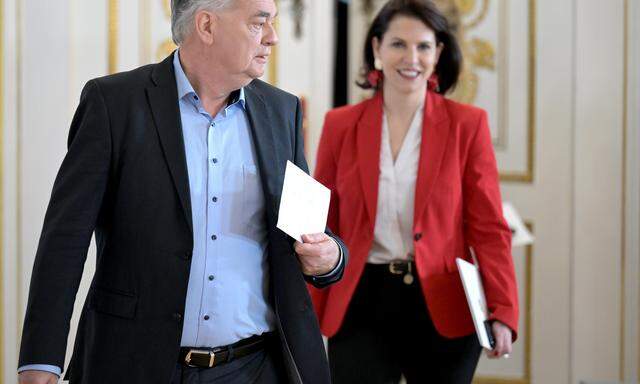 Vizekanzler Werner Kogler (Grüne) und Kanzleramtsministerin Karoline Edtstadler (ÖVP) 
