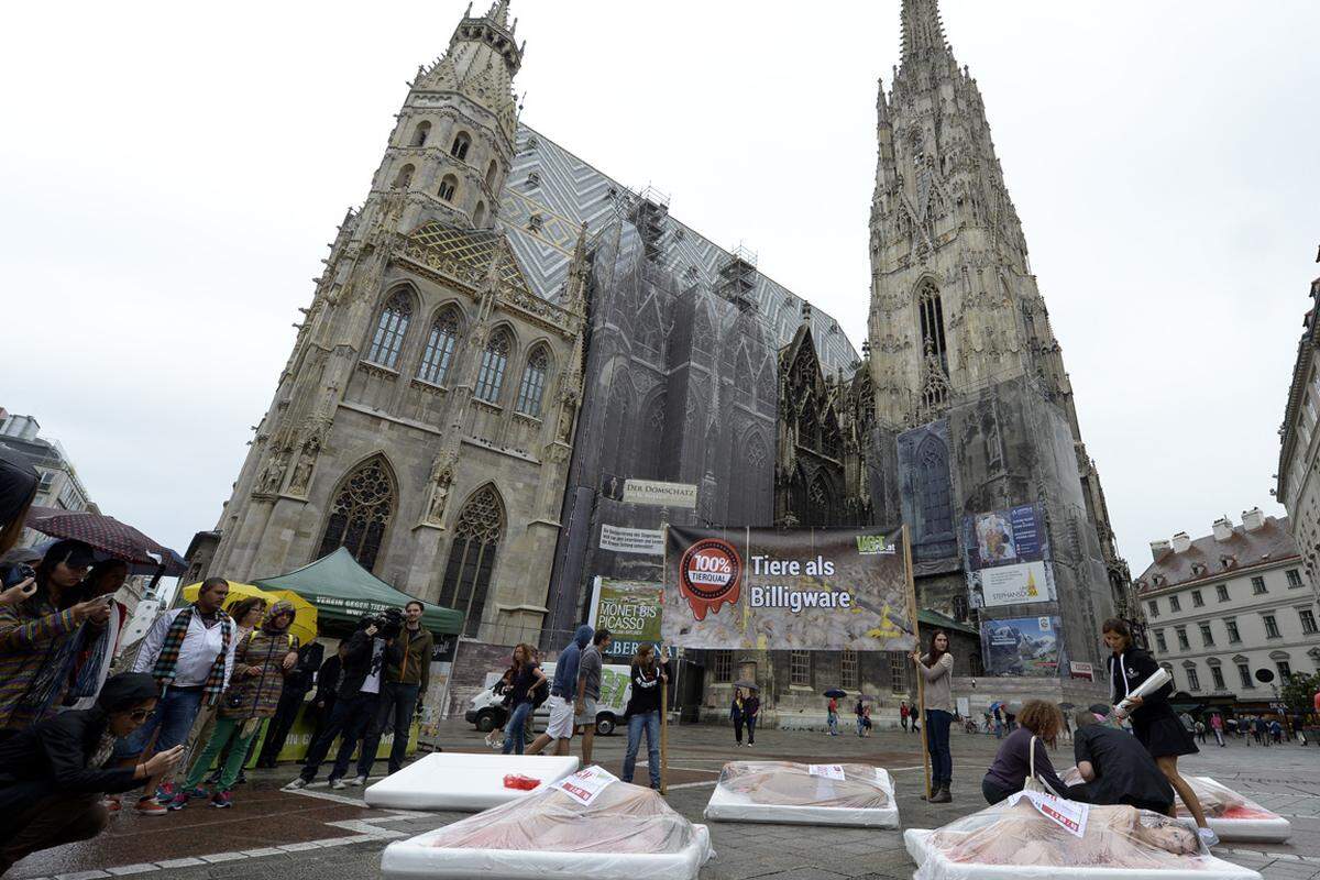 Sechs Aktivisten des Vereins gegen Tierfabriken ließen sich am Dienstag "nackt wie ein Stück Fleisch" am Stephansplatz in der Wiener Innenstadt in überdimensionale Fleischtassen verpacken