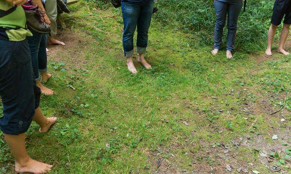 Erden. Die Schuhe ausziehen, über den Waldboden wandeln.