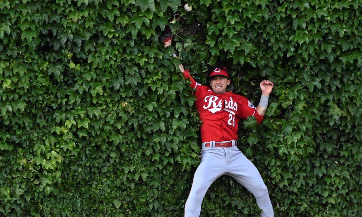27. Mai. Ein Klassiker der Baseball-Fotografie: Center Fielder TJ Friedl der Cincinnati Red versucht, einen Triple Hit von Chicago Cubs Shortstop Dansby Swanson (nicht im Bild) während des ersten Innings im Wrigley Field zu verhindern.