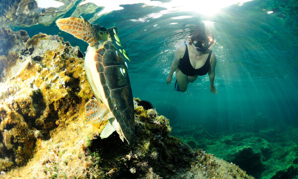 Tauchgang am ägäischen Meeresgrund