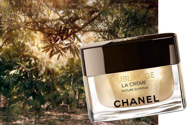 Im Jahr 2006 lancierte Chanel seine Sublimage-Pflege. Anlässlich des zehnjährigen Bestehens wurde das Extraktionsverfahren aus der in Madagaskar gewonnenen Vanilla planifolia nochmals verbessert („La Crème“ in drei Texturen, 327 Euro).