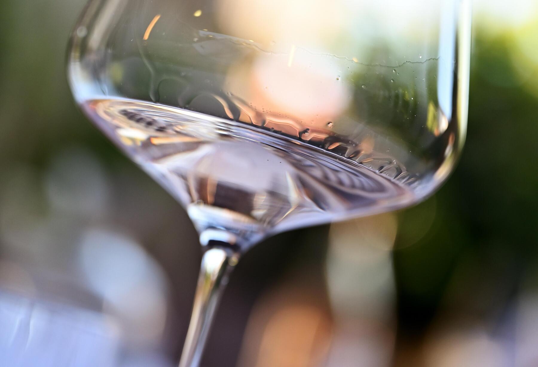 Austria Opens First Wine De-alcoholization Plant Amid Rising Demand