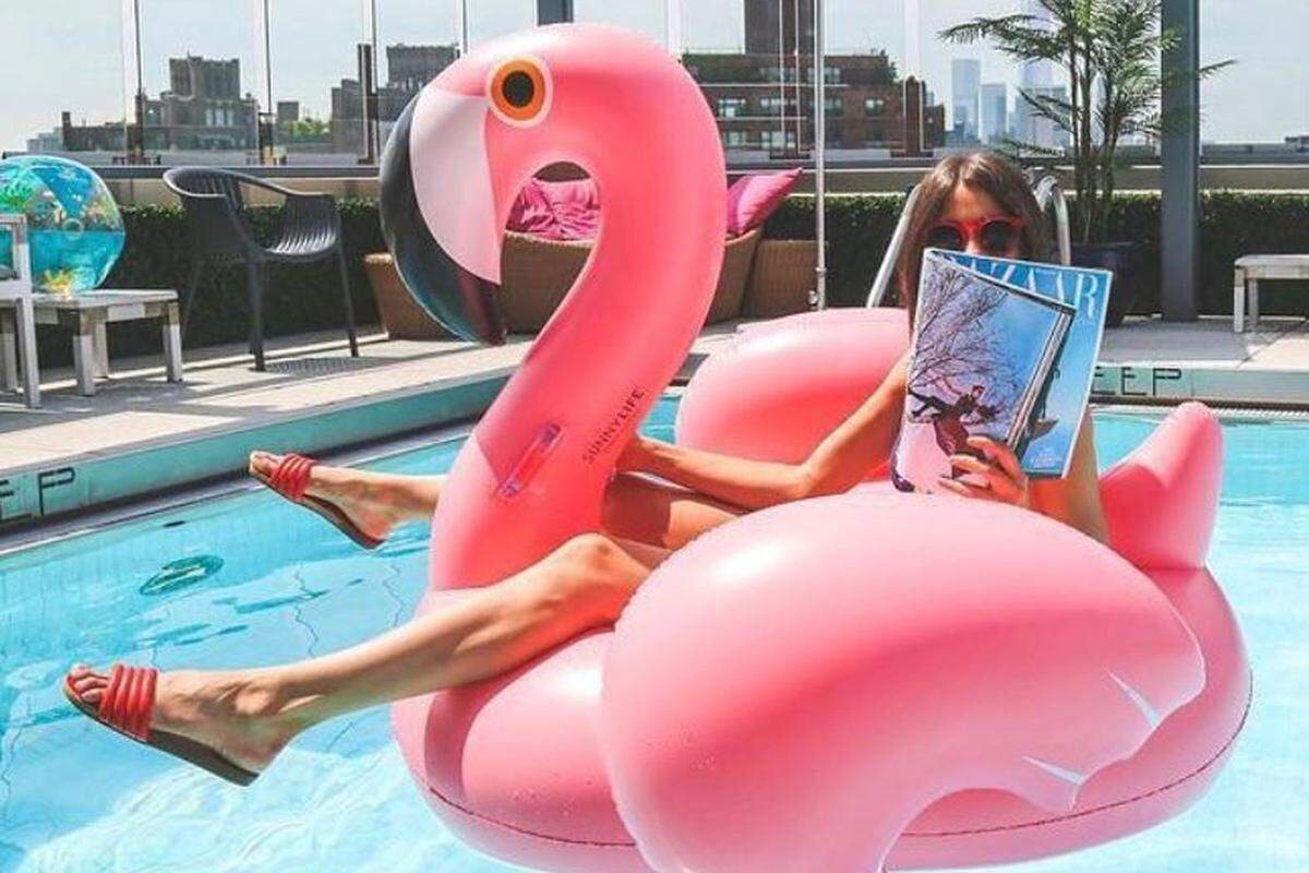 Der Flamingo erobert seit vergangenem Sommer neues Terrain.