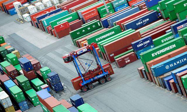 FILE PHOTO: A van carrier transports a container at the container terminal ´Burchardkai´ of the Hamburger Hafen und Logistik AG in the harbour of Hamburg