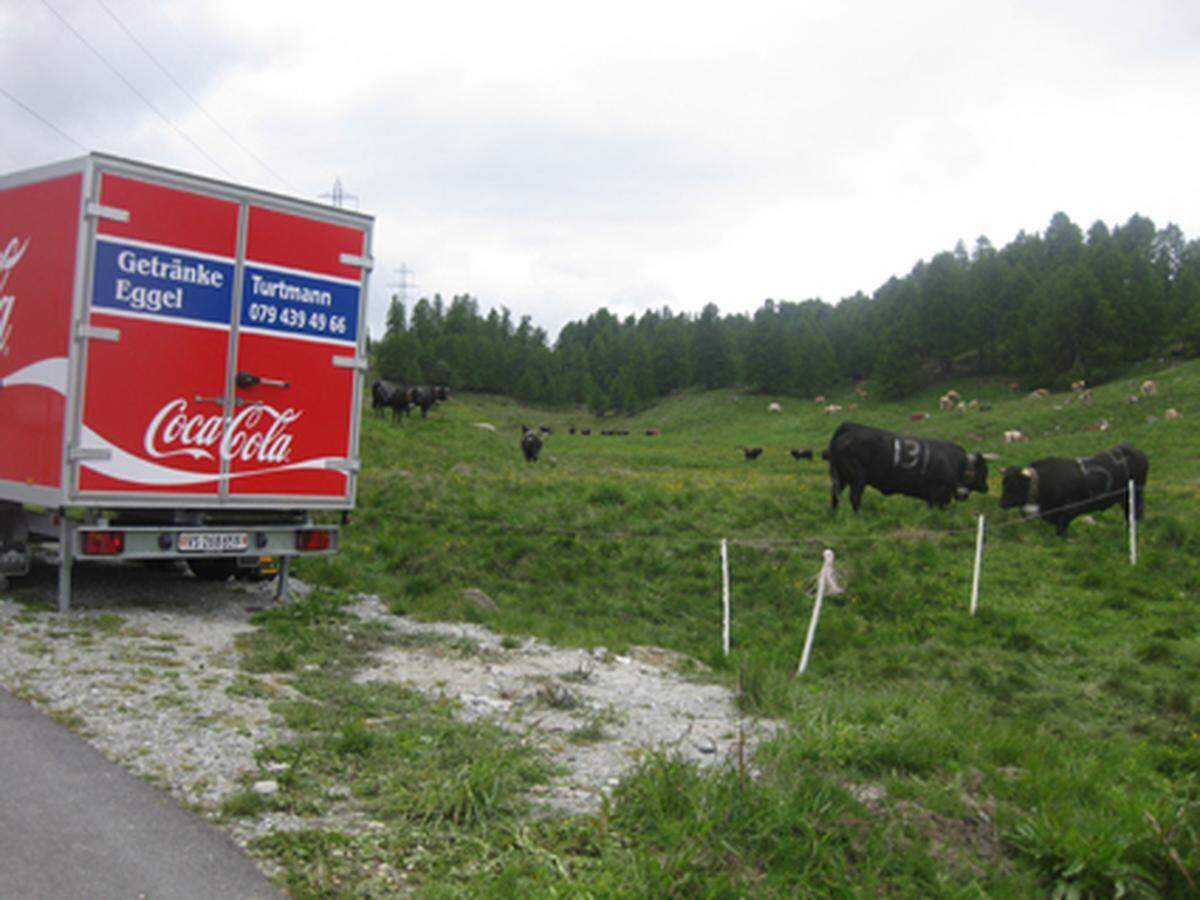 Abschied von Wallis: Am Straßenrand kämpfen noch immer ein paar Eringer-Kühe. wwww.wallis.ch  Martin Amanshauser, LOGBUCH WELT, 52 Reiseziele, www.amanshauser.at, Bestell-Info unter www.diepresse.com/amanshauser oder 01/51414-555.