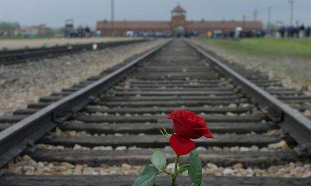 Rose vor dem ehemaligen KZ Auschwitz: Hier wurden die in Izieu aufgespürten Kinder vergast 