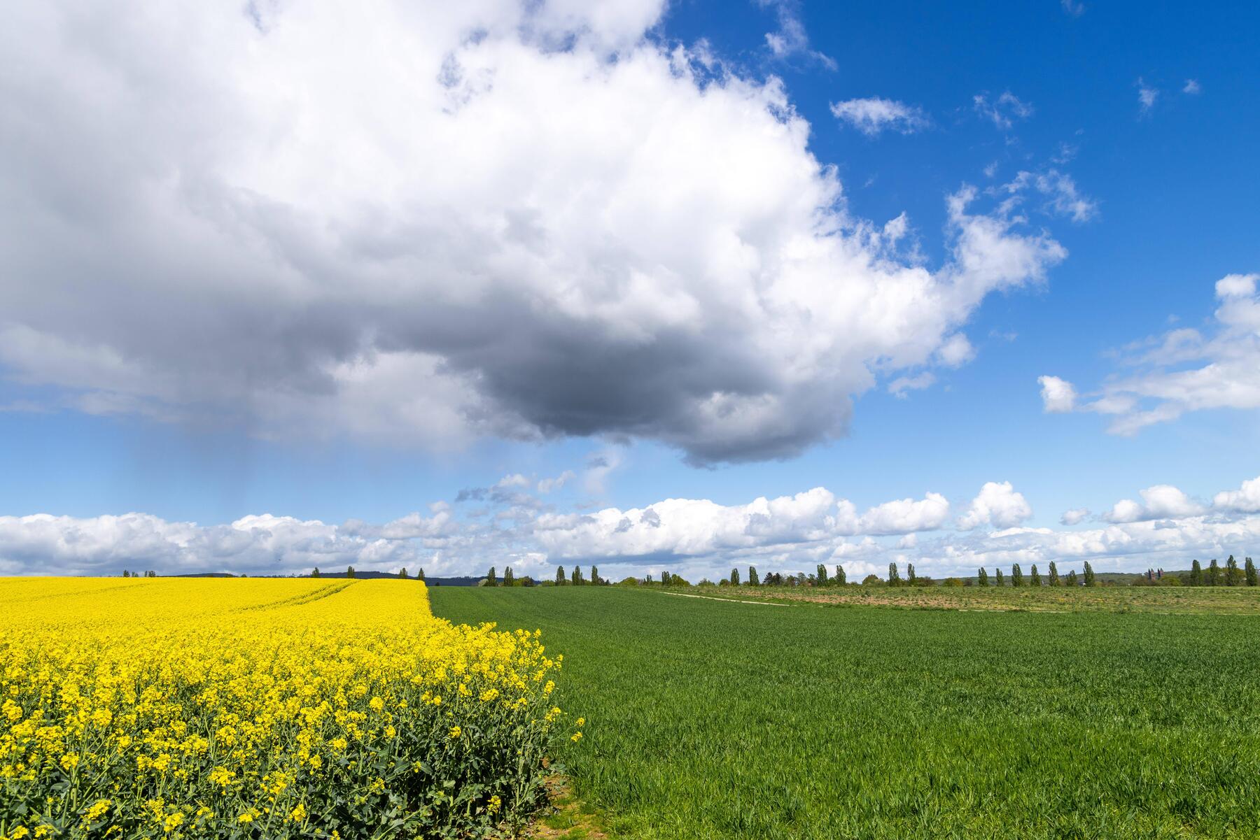 Wetter in Österreich wird zunehmend wechselhaft