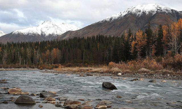 Auch in Alaska gibt es großflächige Gebiete mit Permafrostböden, doch vielerorts tauen sie im Sommer bereits auf - wie hier bei Denali.