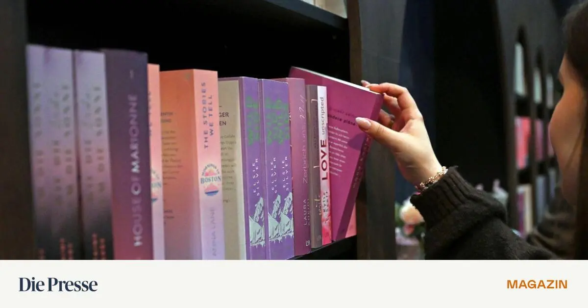 Sei-mein-Hund-Geliebte-Gro-er-US-Verlag-stolpert-ber-derbe-KI-Romanze-premium-