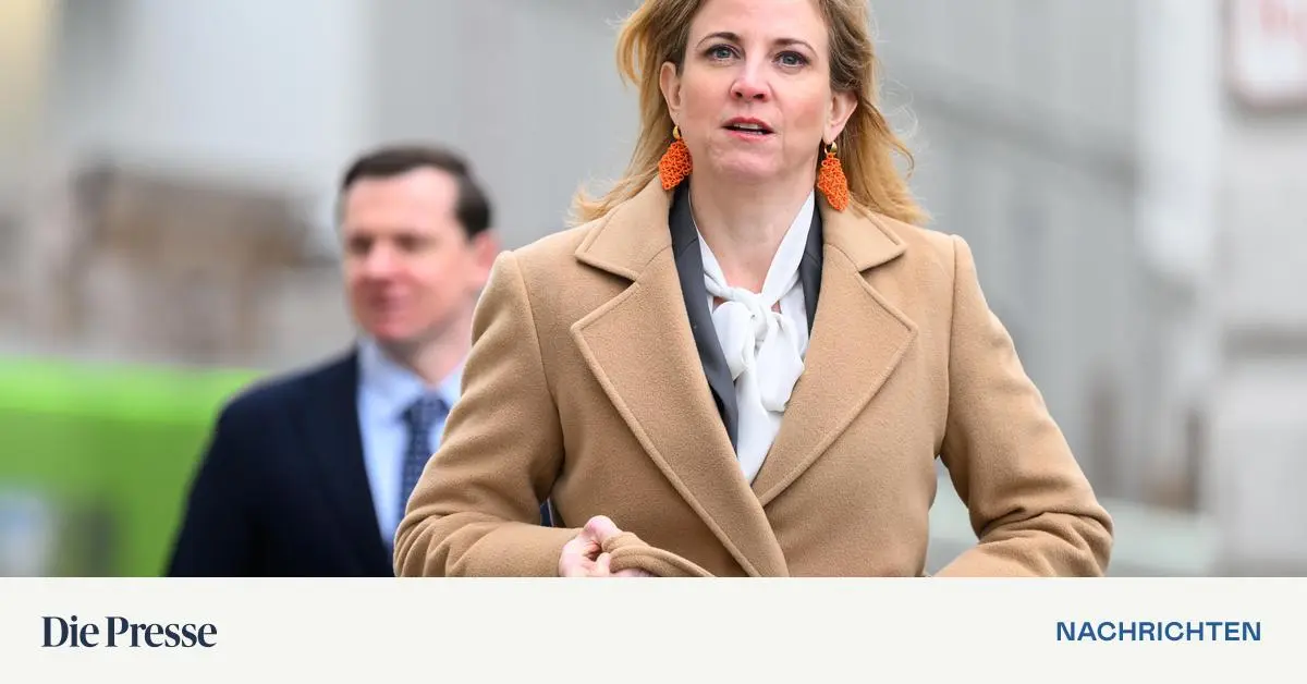 EU-mit-sterreichs-Hilfe-spalten-Meinl-Reisinger-will-US-Botschafter-zur-Rede-stellen-premium-